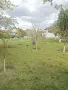 Къща в село Самораново,2км.от гр.Дупница,6 км.от гр.Сапарева баня,55 км.от гр.София, снимка 2