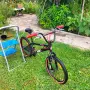 BMX Detox B502 – като нов! Карано само няколко пъти + чисто нови пегове, снимка 7
