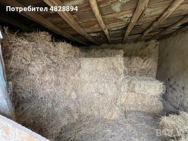 1. Бр 10 евро който иска дами се обажда0876844507, снимка 2 - Други - 55360192
