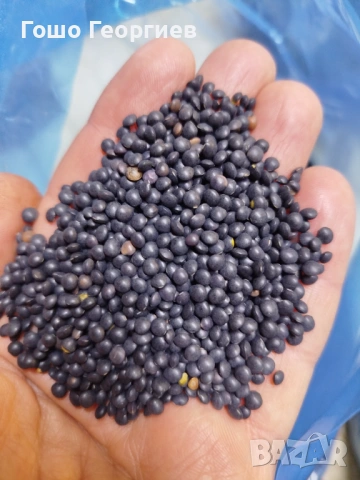 Черна леща/белуга за варива,салати,предястия, снимка 2 - Други - 53990650