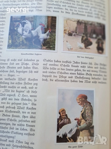 стар немски албум с картички от 1935г. 35/4, снимка 13 - Колекции - 55239806