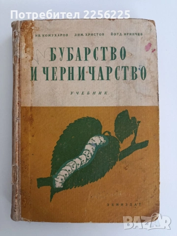 Бубарство и черничарство