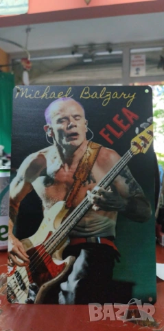 Michael Balzany FLEA-метална табела(плакет), снимка 2 - Китари - 54488145