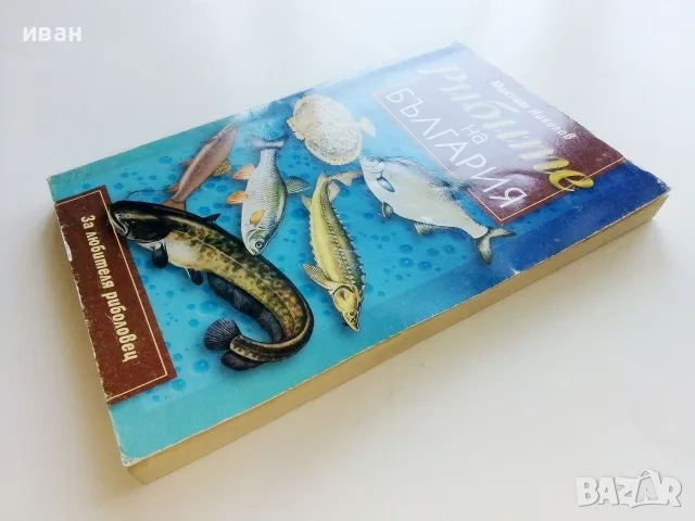 Рибите на България  - Максим Николов - 2000г., снимка 8 - Специализирана литература - 55606687