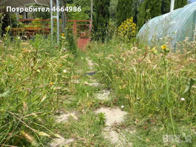 Почистване на мази тавани апартаменти гаражи, снимка 4 - Други услуги - 55339956