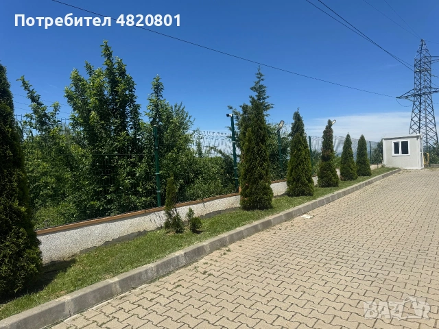 Професионални градински услуги , снимка 16 - Други - 55193245