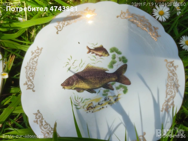 Порцеланови чиний, снимка 3 - Чинии - 55208056