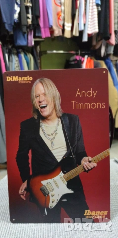Andy Timmons-метална табела (плакет), снимка 2 - Китари - 54059271