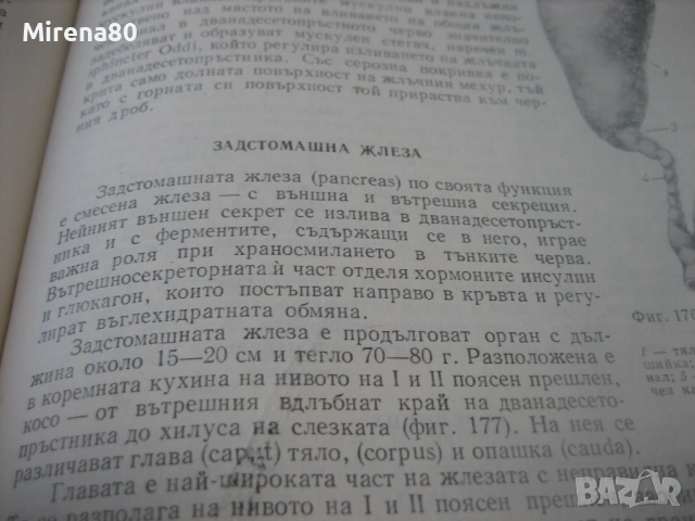 Анатомия и физиология на човека - 1976 г., снимка 6 - Специализирана литература - 54732677