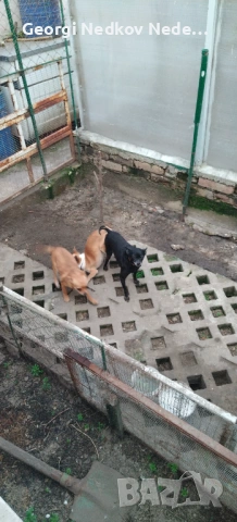 Продавам клетка 
