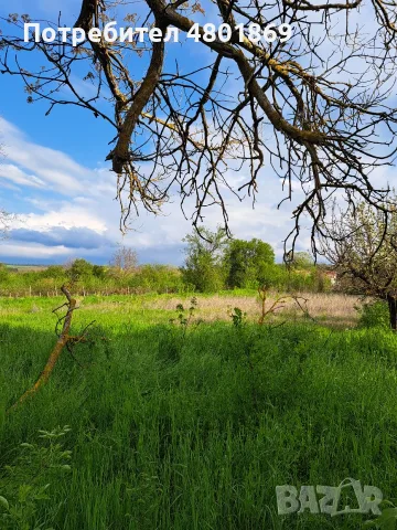 Продажба на къща, снимка 3 - Къщи - 55557313