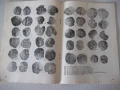 Списание "Нумизматика - брой 3 - 1986 г." - 48 стр., снимка 5