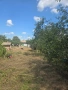 🏡 Продава се къща , снимка 6