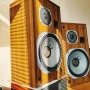 ✅ YAMAHA NS-645   10'', снимка 1