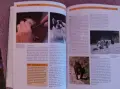 Френски булдог-книга ръководство за породата, снимка 10
