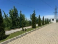 Професионални градински услуги , снимка 16