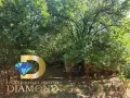Едноетажна къща в село Долно Ботево, общ. Стамболово, снимка 5
