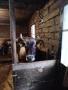 Продавам крава, снимка 4