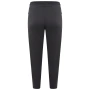 Мъжко фитнес долнище Dare 2b Laze Jogger, снимка 2