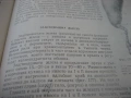 Анатомия и физиология на човека - 1976 г., снимка 6