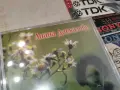 ЛИАНА ДАСКАЛОВА NEW CD 2207261825H2E7R, снимка 12