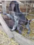 куцухар кучета!, снимка 2