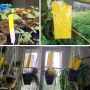 Жълти лепливи PVC плоскости х 10 бр., снимка 3
