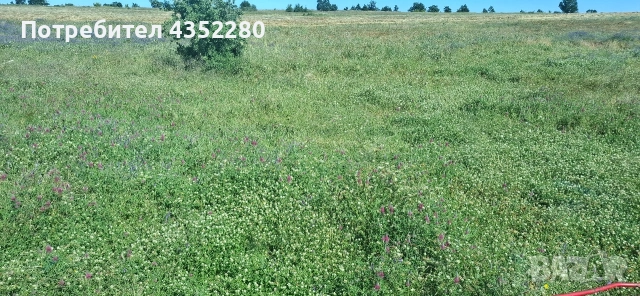 Бали ливадно сено 30€, снимка 5 - За селскостопански - 54998422