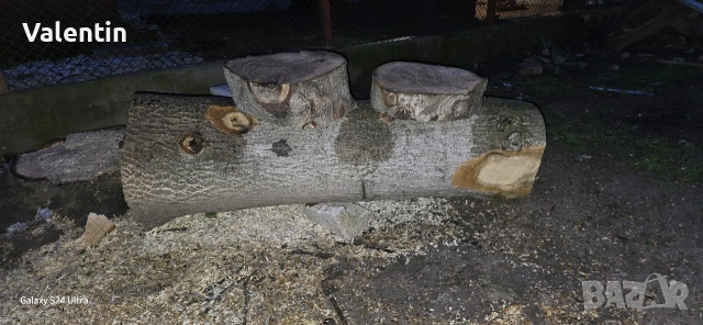 Орех за Материал 120 см дължина , снимка 11 - Декорация за дома - 53950478