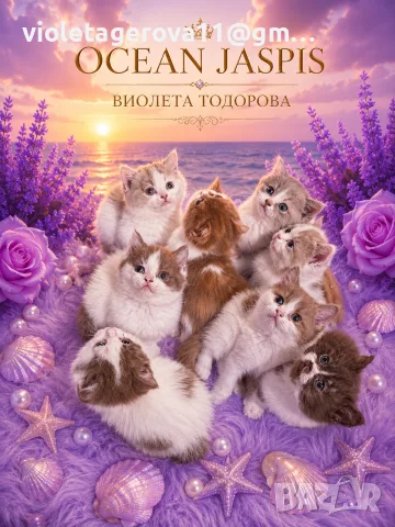 Британски котки 