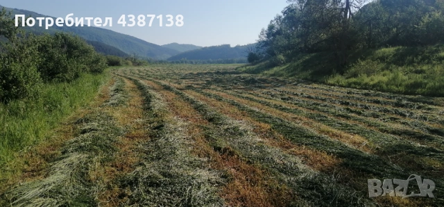 Рулонни бали