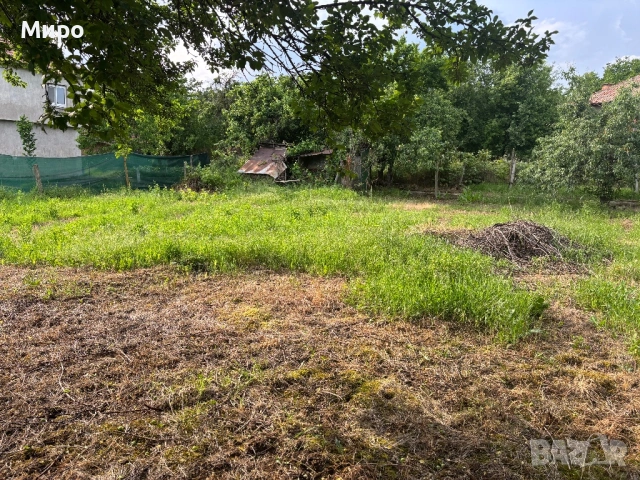 Дворно място от собственик, снимка 6 - Парцели - 54775203