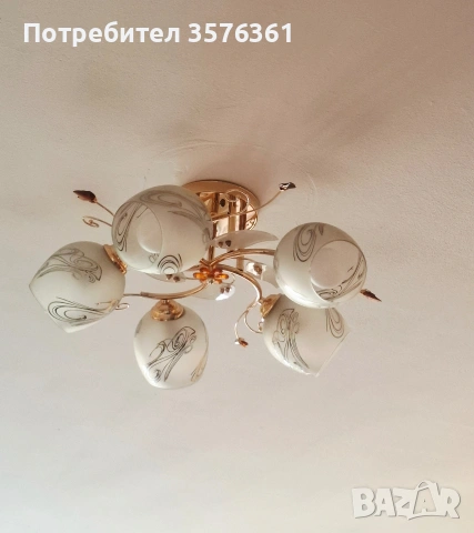 Полилей перфектен , снимка 2 - Полилеи - 55084082