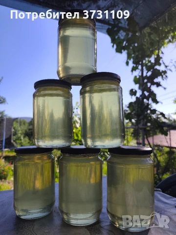 Мед от акация , снимка 4 - Пчелни продукти - 55000265