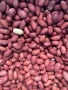 продавам фъстъци, снимка 1