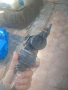 EGR КЛАПАН 7563241 BMW E90 E87 2.0 N43B20, снимка 4