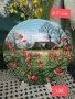 Royal Doulton Извън утъпкания път чинии, снимка 4