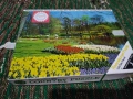 Пъзел "Keukenhof” Ravensburger 1970г. 500 части, снимка 1