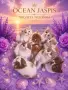 Британски котки , снимка 1