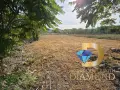 Парцел в село Горски Извор, общ. Димитровград, снимка 2