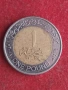 1 паунд 2008 г. Египет, снимка 2