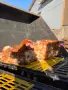 кокошки носачки, снимка 4