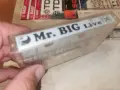 MR.BIG UNISON RECORDS 1992 1008261430H2E7R, снимка 15