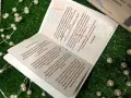 Картичка паспорт със самолетен билет , снимка 3