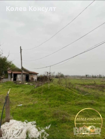 🥇 Агенция “Колев Консулт” продава парцел в село Караджалово, община Първомай, област Пловдив , снимка 5 - Парцели - 54080137