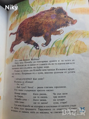 Жабокът рицар - Кирил Гюлеметов , снимка 6 - Детски книжки - 54218374