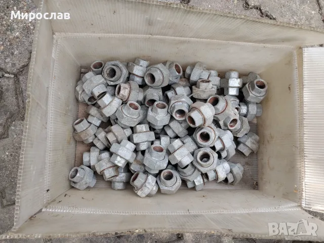 Холендър 1/2 ж/ж, снимка 3 - ВИК - 55671171