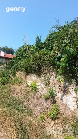 Парцел с основи на къща до асфалтов път в с. Новосел, снимка 6 - Къщи - 54882074