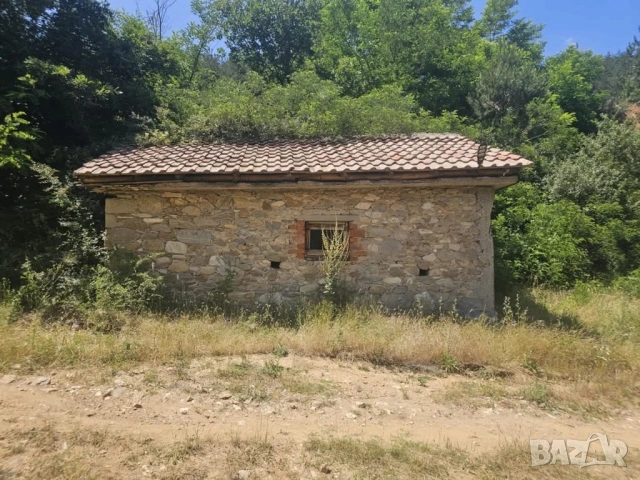 Урегулиран парцел 1500 кв.м. с ток, вода и стара къща в с. Дружинци, снимка 2 - Къщи - 54954490