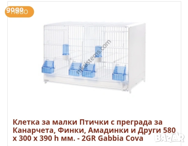 клетка за амадини